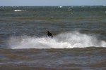 Thumb for IMG_2849.jpg (101 KB)