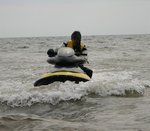 Thumb for 20050515_23.jpg (72 KB)