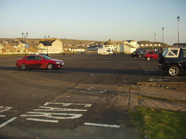 st bees photo